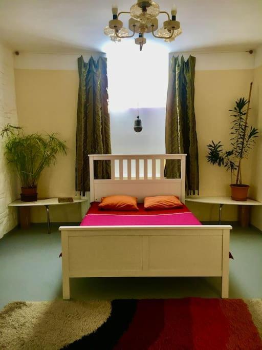 Vintage Studio Apartment, Garden And Free Parking 부다페스트 외부 사진
