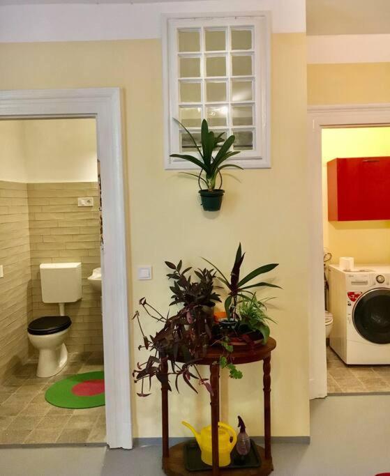 Vintage Studio Apartment, Garden And Free Parking 부다페스트 외부 사진