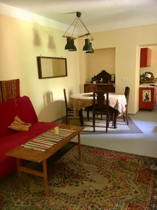 Vintage Studio Apartment, Garden And Free Parking 부다페스트 외부 사진