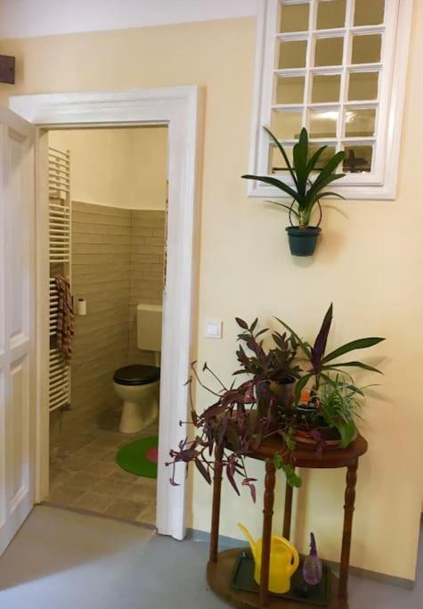 Vintage Studio Apartment, Garden And Free Parking 부다페스트 외부 사진